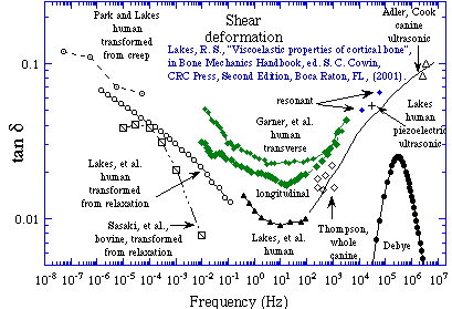 bone viscoelasticity